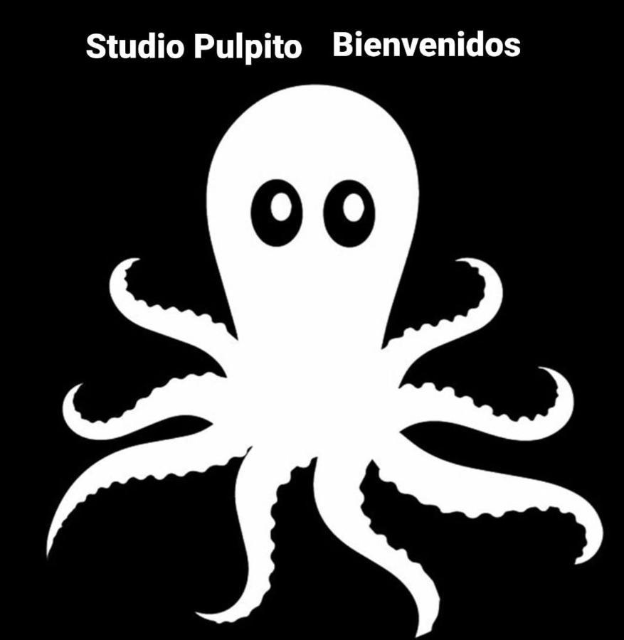 Studio Pulpito In The Charming Heart Of Downtown Pv بويرتو فالارتا المظهر الخارجي الصورة